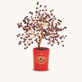 Courageous Heart Ruby July Birthday Tree